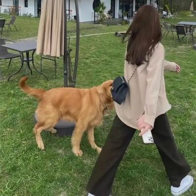 嘈杂噪音